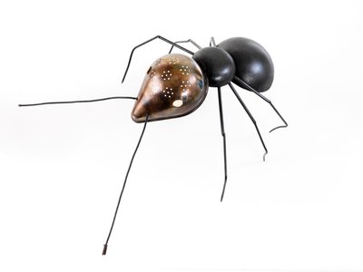 La formica, 2006 da Lawrie Simonson